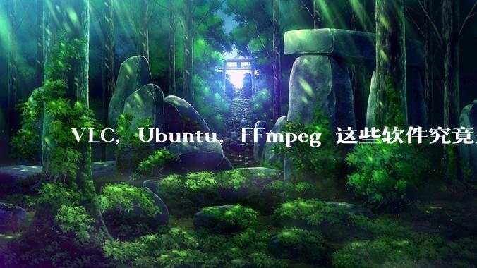 VLC，Ubuntu，FFmpeg 这些软件究竟是什么人开发的？为什么免费？他们不求回报又何以生存？