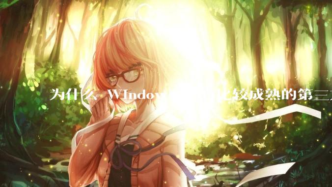 为什么 Windows 没有比较成熟的第三方桌面环境（explorer.exe）？