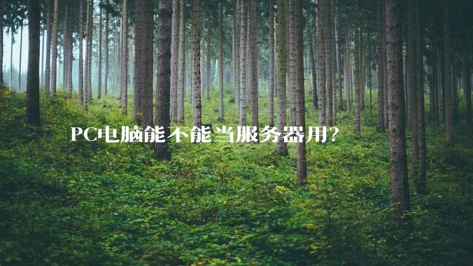 PC电脑能不能当服务器用？