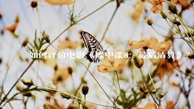如何评价电影《碟中谍8：最后清算》？