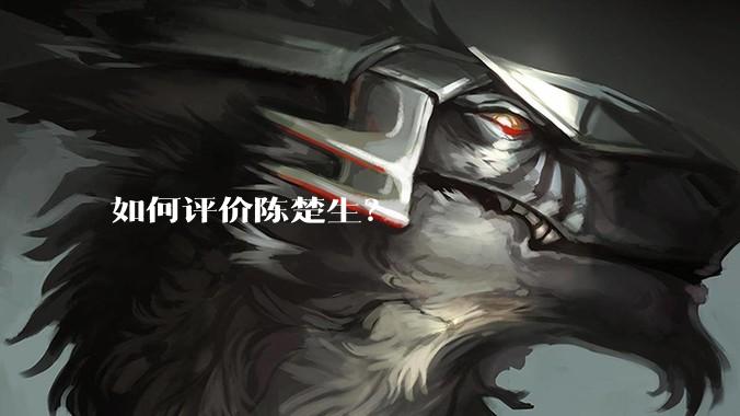 如何评价陈楚生？