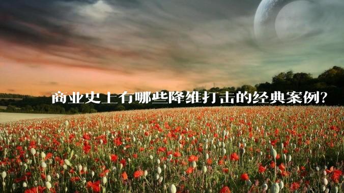 商业史上有哪些降维打击的经典案例？