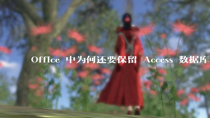 Office 中为何还要保留 Access 数据库?