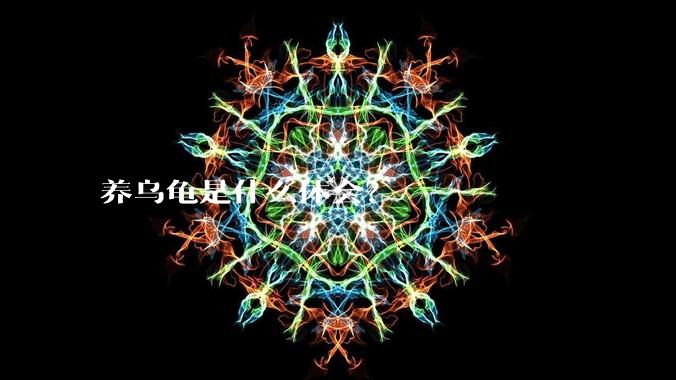 养乌龟是什么体会？