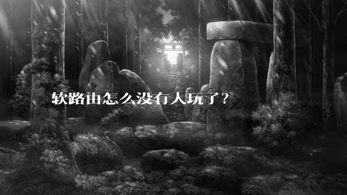 软路由怎么没有人玩了？