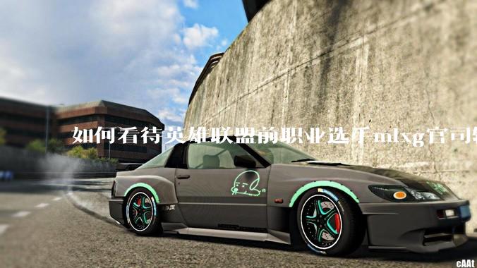 如何看待英雄联盟前职业选手mlxg官司输了，被强制执行2500w？