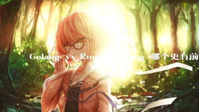 Golang vs Rust vs Dlang 哪个更有前途，哪位大牛这 3 门语言都用过？