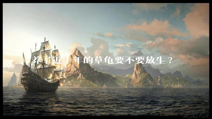 养了近十年的草龟要不要放生?