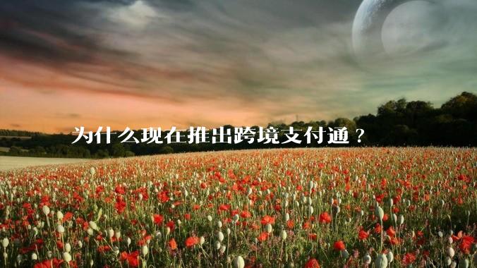 为什么现在推出跨境支付通?